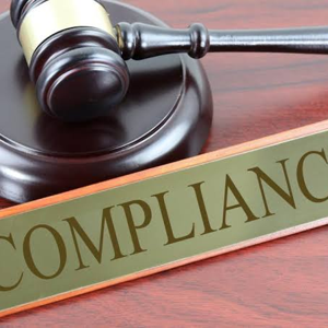 Compliance icon